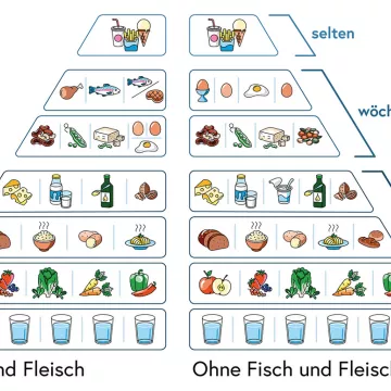 Österreichische Ernährungspyramiden ©BMSGPK