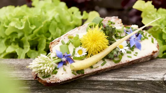 Augarten Butterbrot belegt mit bunten Blüten und Kräutern